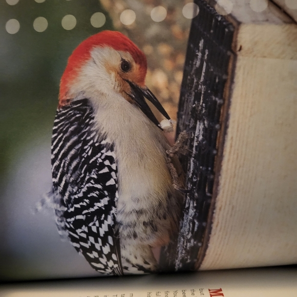 For The Birds: A Month by Month Guide to Attracting Birds to Your Backyard. Used - Picture 8 of 10